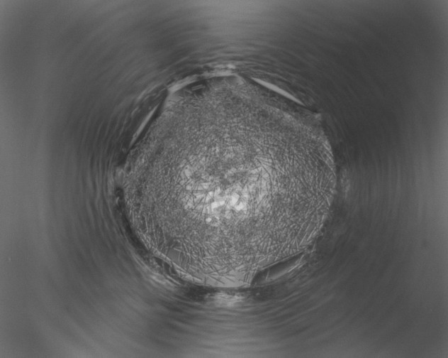 X0000076380570200611031632