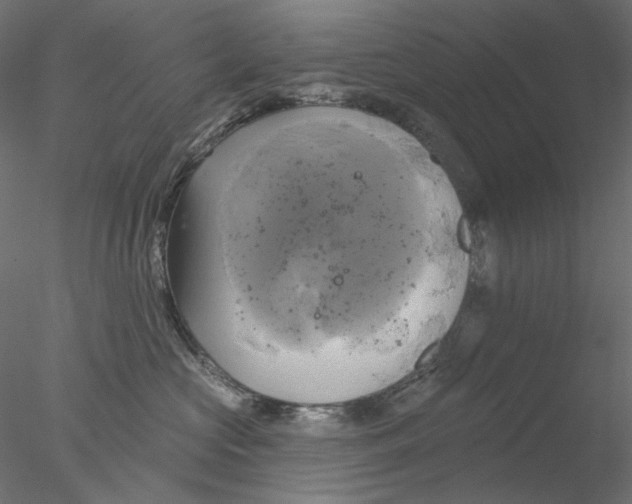 X0000076380573200611031632