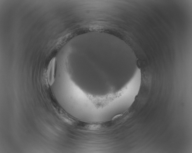 X0000076380575200611031632