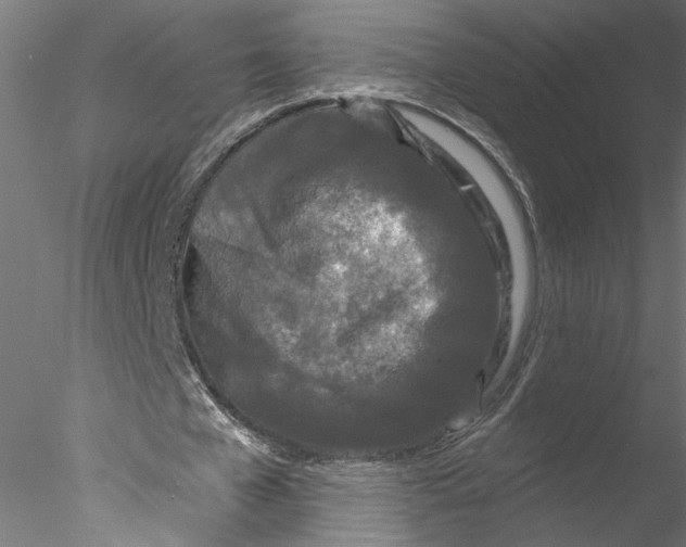 X0000076380577200611031632