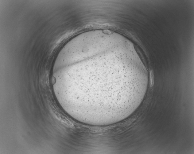 X0000076380579200611031632