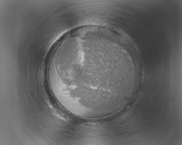 X0000076380580200611031632