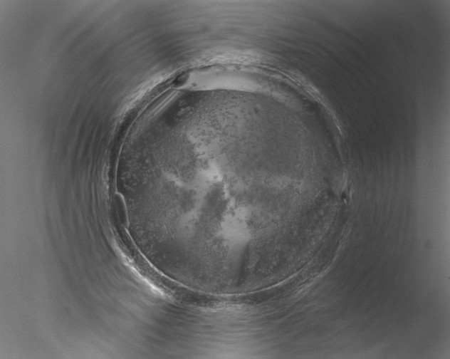 X0000076380581200611031632