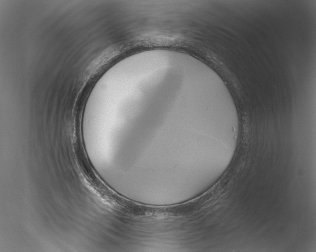 X0000076380582200611031632