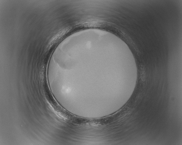 X0000076380586200611031631