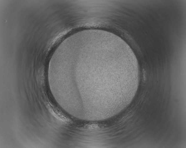 X0000076380588200611031631