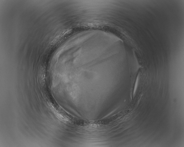 X0000076380593200611031631