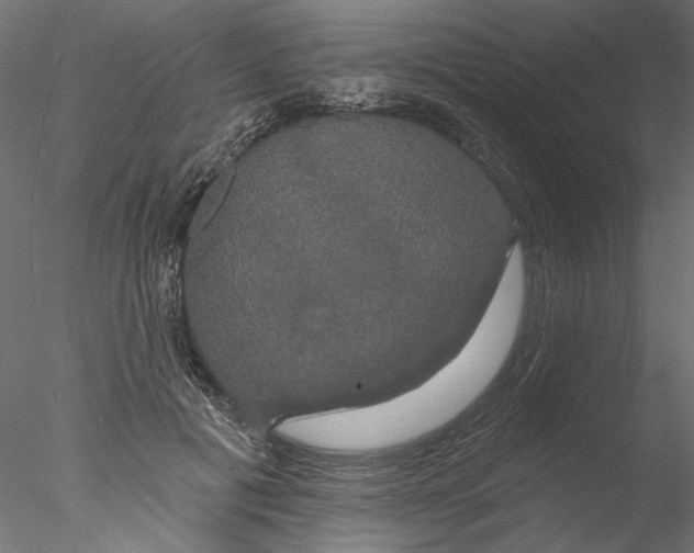 X0000076380601200611031631