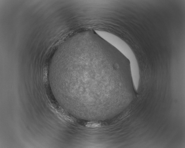 X0000076380602200611031631