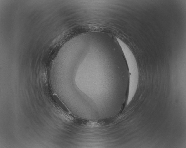 X0000076380613200611031631