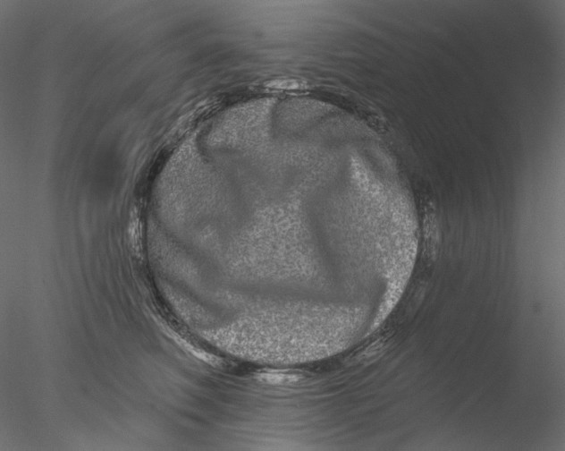 X0000076380614200611031631