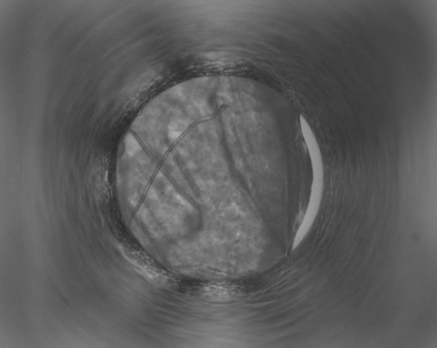 X0000076380615200611031631