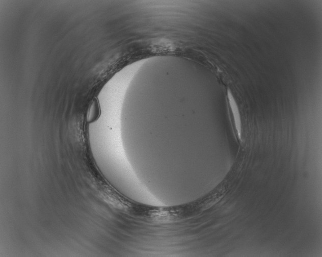 X0000076380616200611031631