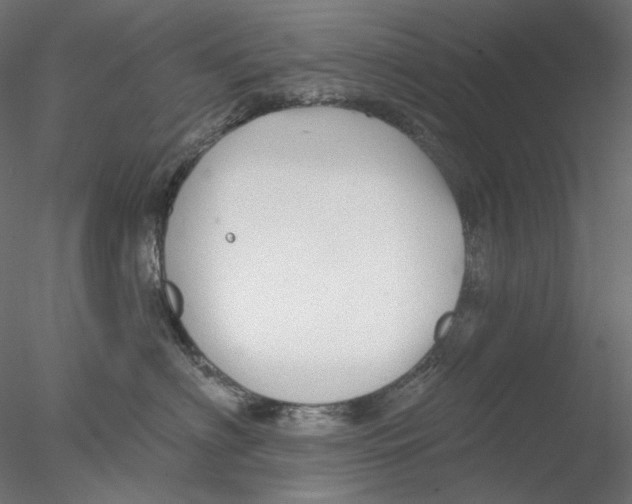 X0000076380622200611031631