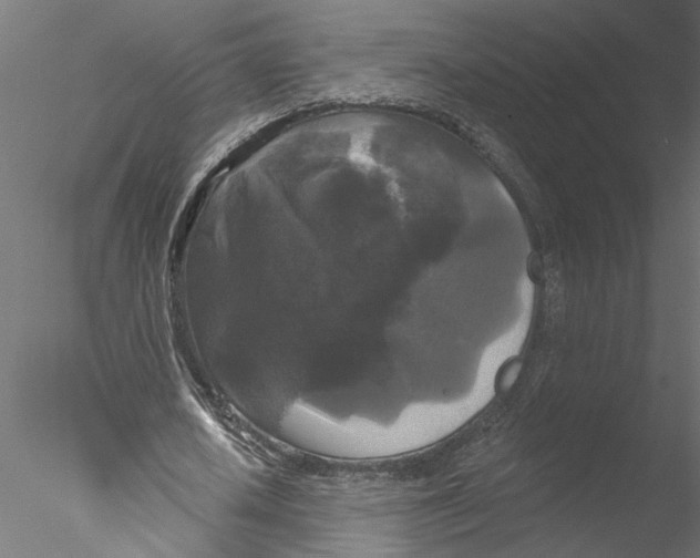 X0000076380626200611031630