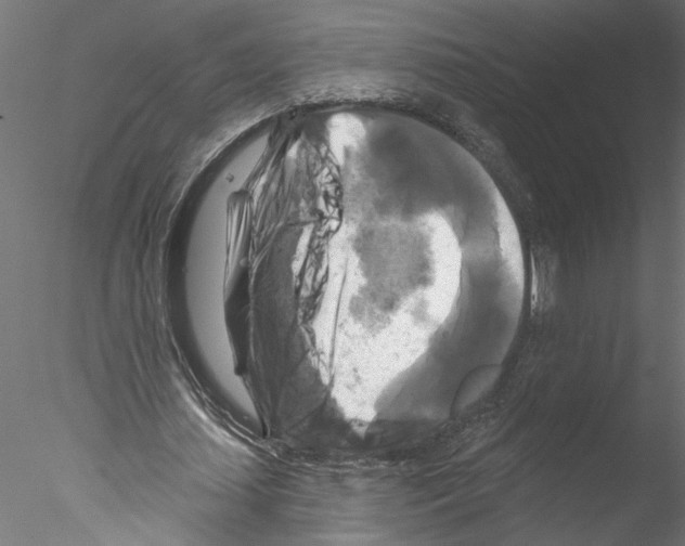 X0000076380627200611031630