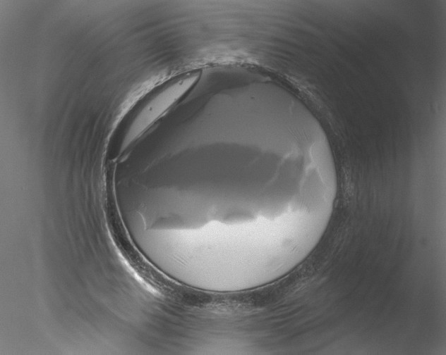 X0000076380630200611031630