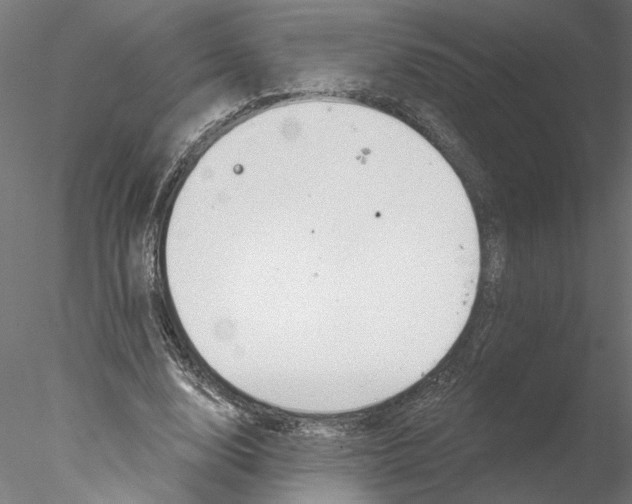 X0000076380632200611031630