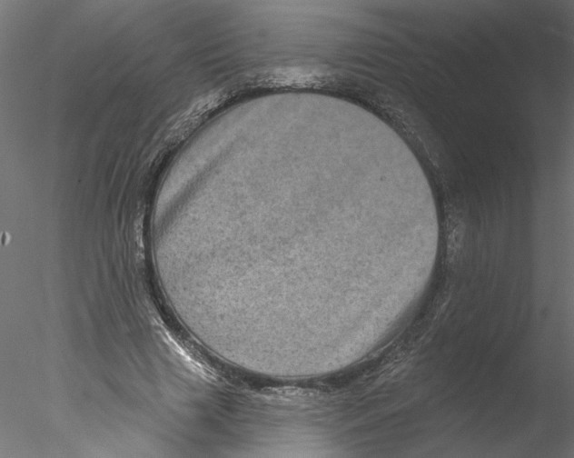 X0000076380633200611031630