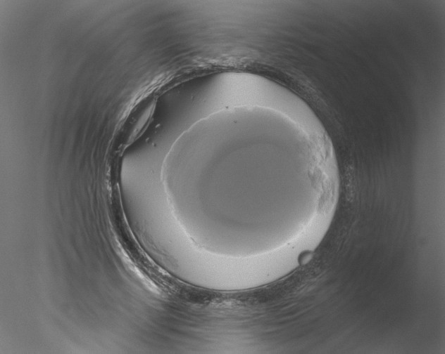 X0000076380634200611031630