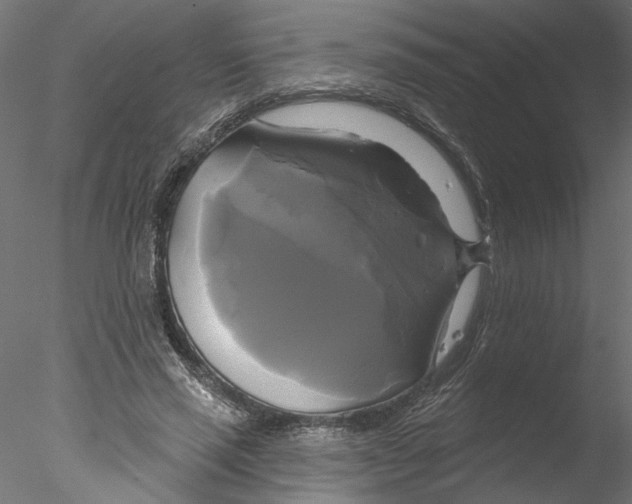 X0000076380637200611031630