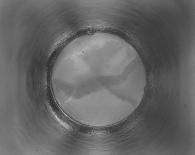 X0000076380638200611031630