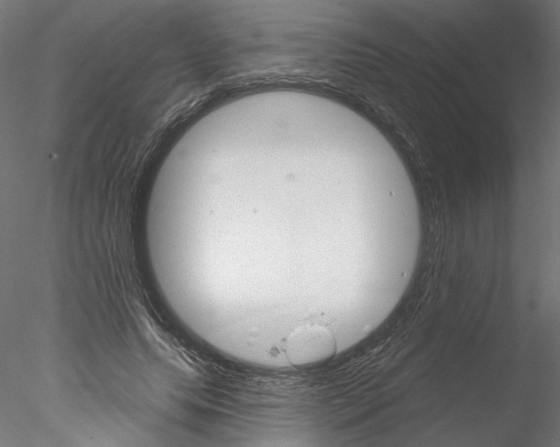 X0000076380639200611031630