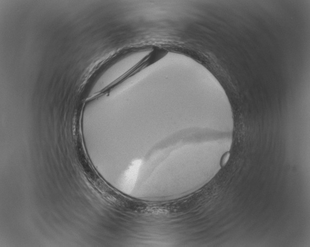 X0000076380640200611031630