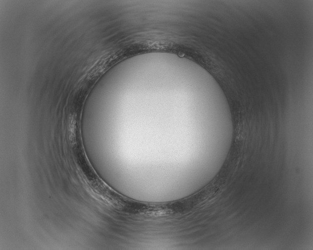 X0000076380646200611031630