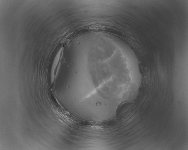 X0000076380649200611031630