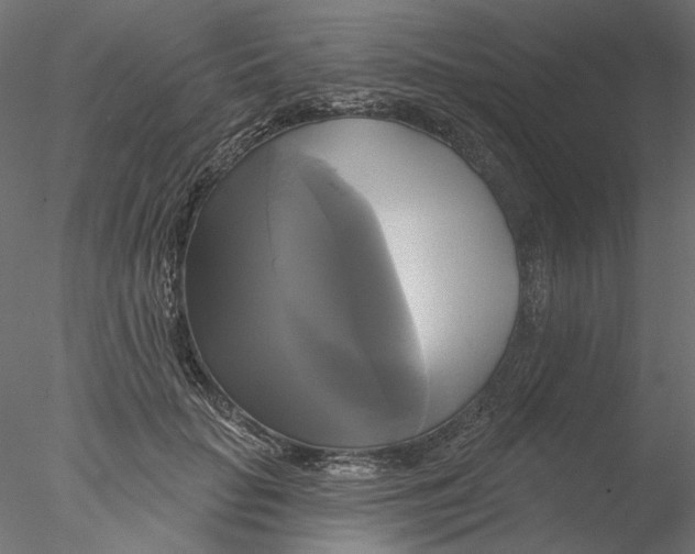 X0000076380653200611031630