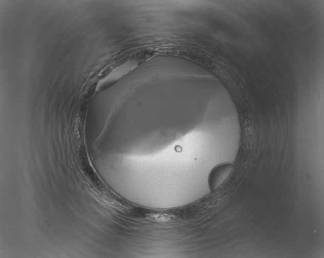 X0000076380654200611031631