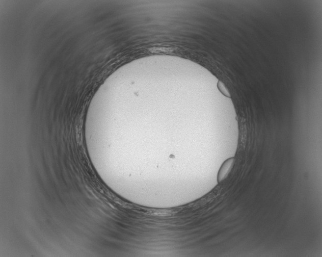 X0000076380655200611031631