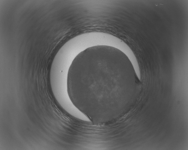 X0000076380661200611031631