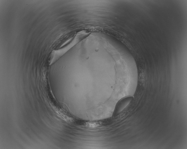 X0000076380662200611031631