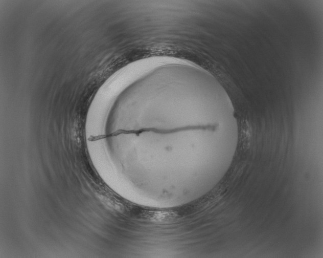 X0000076380663200611031631