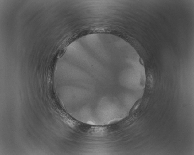 X0000076380665200611031631