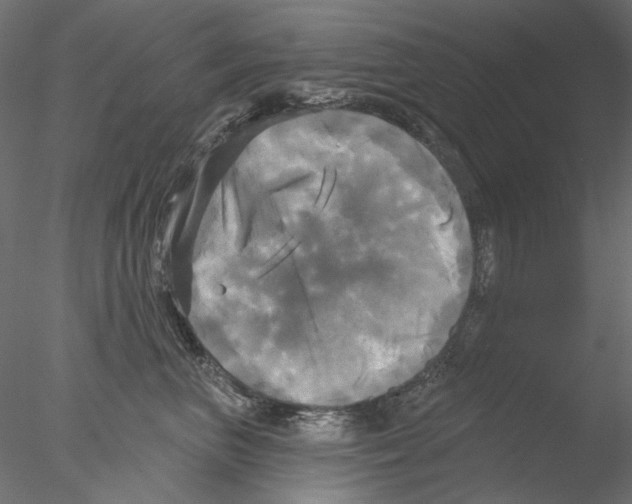 X0000076380667200611031631