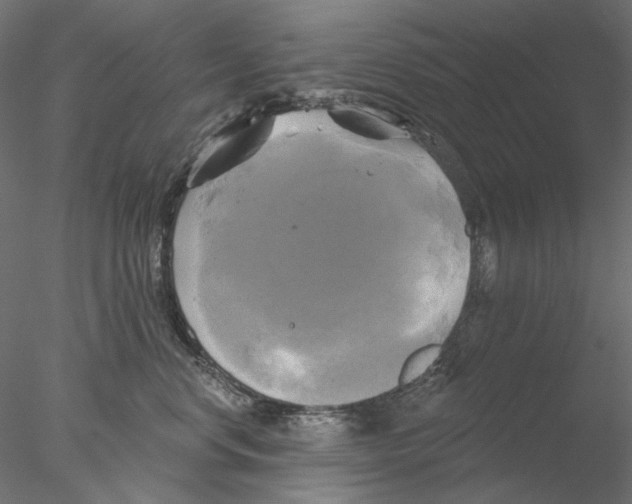 X0000076380668200611031631