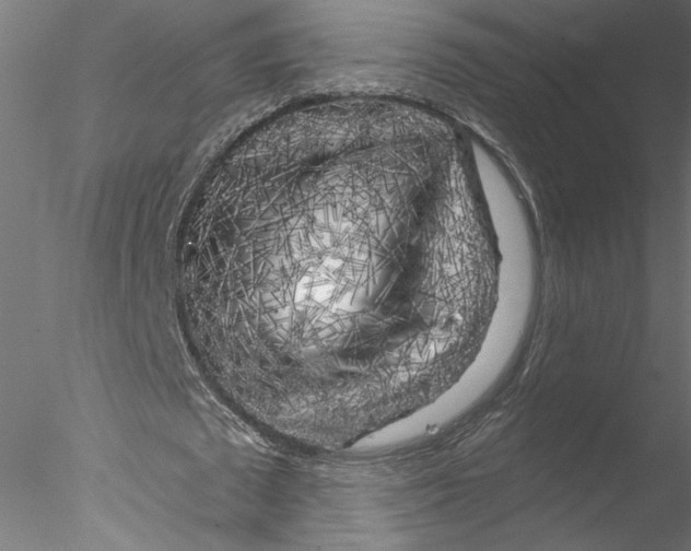 X0000076380673200611031630