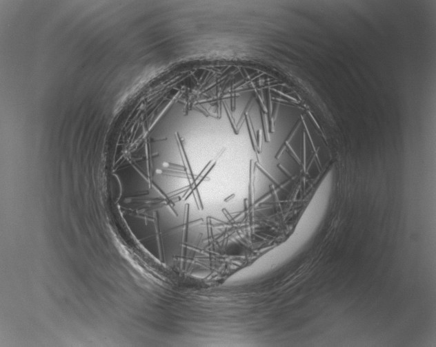 X0000076380677200611031630