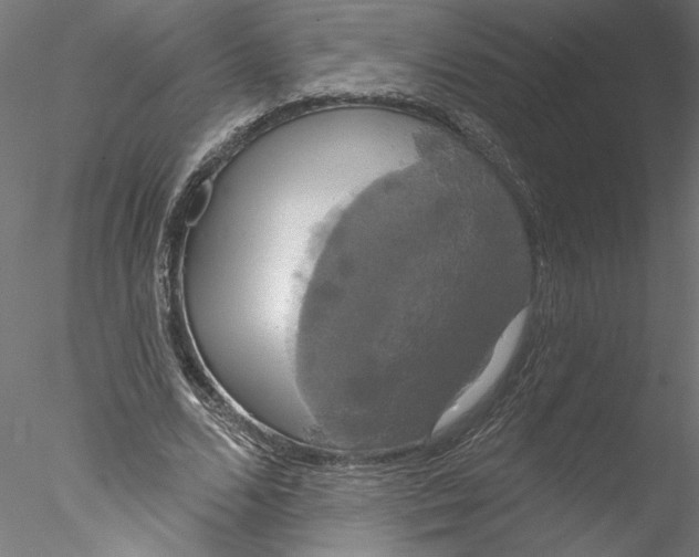 X0000076380680200611031630