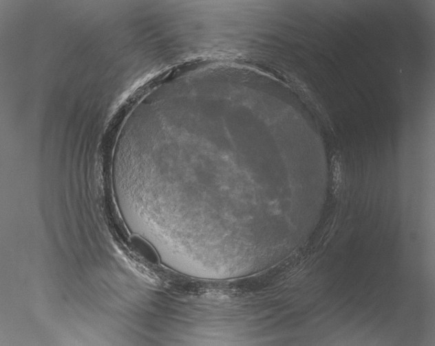 X0000076380684200611031630