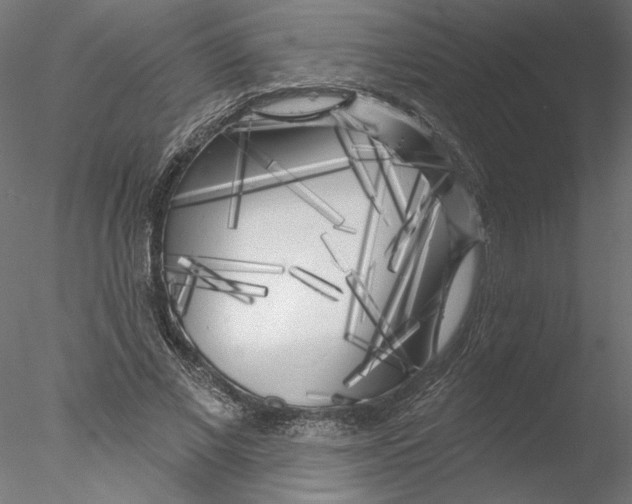 X0000076380685200611031630