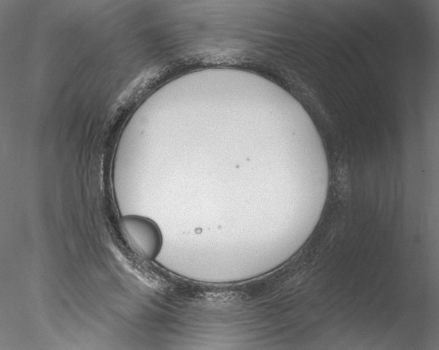 X0000076380686200611031630