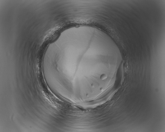 X0000076380688200611031630