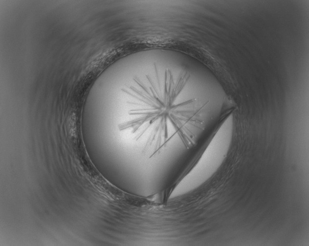 X0000076380689200611031630