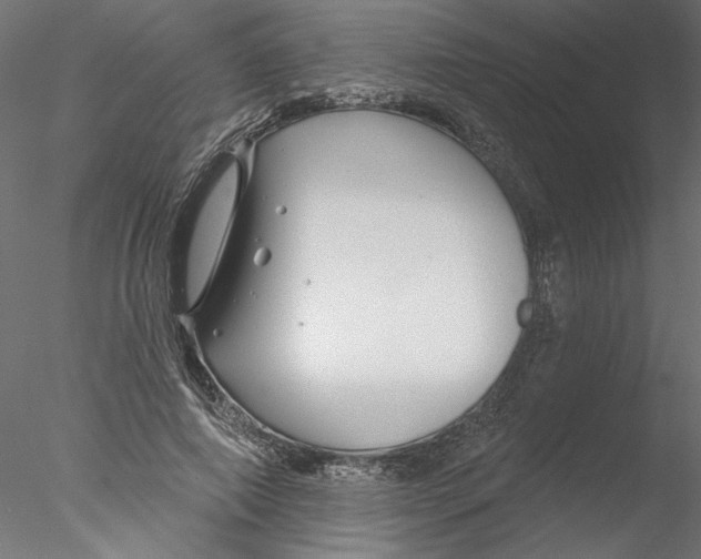 X0000076380690200611031630