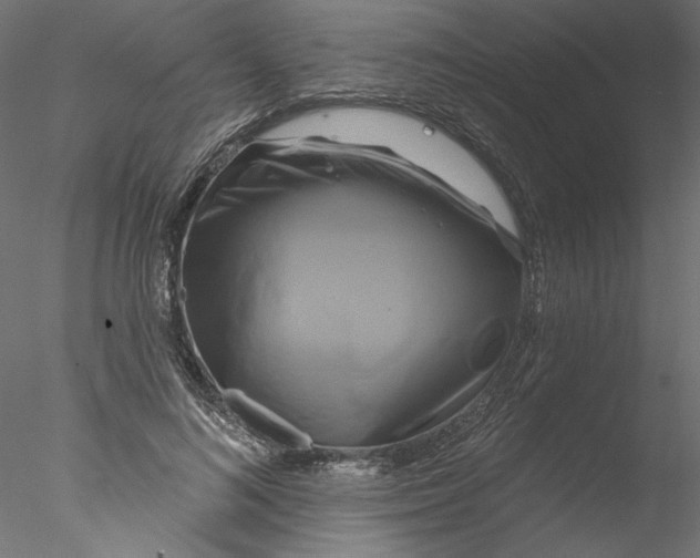 X0000076380692200611031630