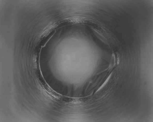 X0000076380696200611031630